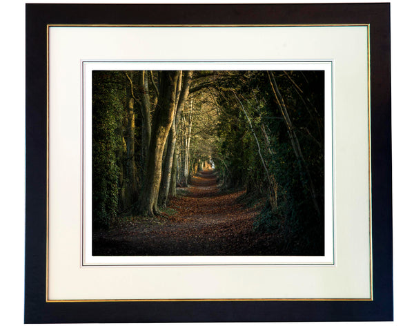 Ancient Track at Tidgove limited edition framed print