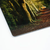 CSP Countryside Greetings Worktop Protector | Chopping Board | Food Platter – Featuring an Ancient beech tree line track by Charles Sainsbury-Plaice