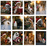 Luxury Robin & Kitten Christmas Card | A Winter Meeting | Santa Claws Christmas Tales