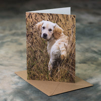 Golden Retriever dog / puppy A5 greeting card