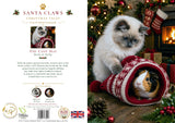 Front and back cover of a  Christmas Card The Cosy Hat' by Holly & Bella, featuring a fluffy white cat and a small dog wrapped in a red knit hat on a decorated Christmas tree and fireplace background.