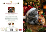 Hamster & Kitten Christmas Card – The Christmas Surprise | Santa Claws Christmas Tales