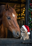 Santa Claws Christmas Tales – Luxury Cat Christmas Cards Multipack | 12 A5 Christmas Cards