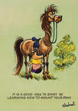 Thelwell Pony A5 Greeting Card MultiPack – 11 Horse & Equestrian Cartoon Cards