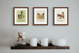 Thelwell Framed Pony Print – Learning How to Mount Your Pony Cartoon | A5 Mounted Pony Art