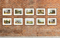 A collection of Thelwell's sporting prints perfect for games rooms, loos, shoot lodges, sporting hotels