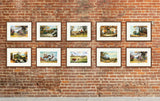 A collection of Thelwell's sporting prints perfect for games rooms, loos, shoot lodges, sporting hotels