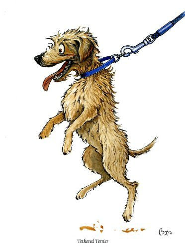 Tethered Terrier Greeting Card by Bryn Parry