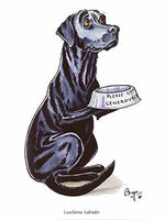 Dog greeting card. Lunchtime Labrador by Bryn Parry