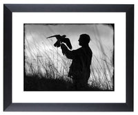 Falconry limited edition print. The Falconer by Charles Sainsbury-Plaice