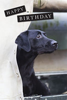 Labrador Birthday Card. Black Lab in Land Rover by Charles Sainsbury-Plaice