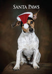 Jack Russell Dog Christmas Card by Charles Sainsbury-Plaice.