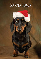 Miniature Dachshund Dog Christmas Card by Charles Sainsbury-Plaice. Large A5 size with envelope.