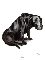 Black Labrador greeting card. Sorry by Bryn Parry