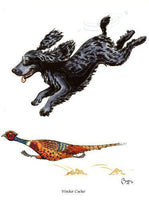 Cocker Spaniel and Pheasant Greeting Card by Bryn Parry