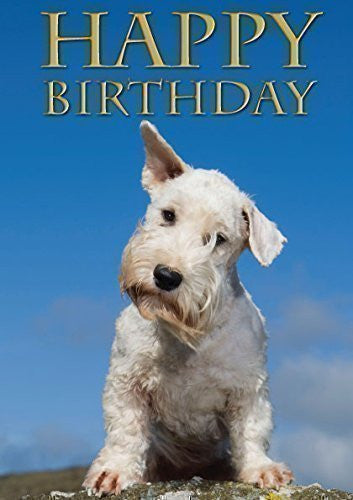 Sealyham dog birthday card by Charles Sainsbury-Plaice