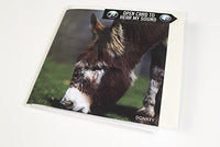Donkey greeting card with sound inside.