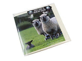 Sheep Greeting Card with sound