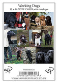 Working Dogs pack of 10 A6 notecards with envelopes, showing dog photographs by Charles Sainsbury-Plaice.