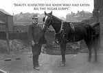 Cart Horse and Owner. Vintage humour greeting card.
