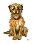 Border Terrier greeting card. Innocent by Bryn Parry