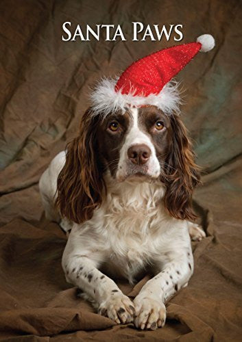 Working Springer Spaniel Dog Christmas Card by Charles Sainsbury-Plaice.