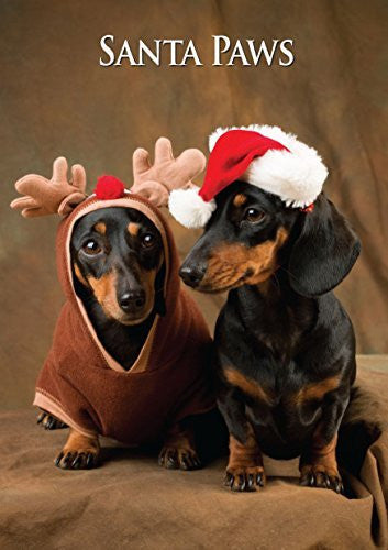 Miniature Dachshunds Dog Christmas Card by Charles Sainsbury-Plaice.