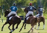 Polo Players Greeting Card by Charles Sainsbury-Plaice