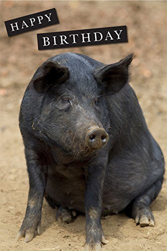 Pig Birthday Card. Large Black by Charles Sainsbury-Plaice