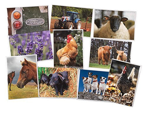 10 Large Countryside Greeting Card collection with envelopes. Blank on the inside for all occasions