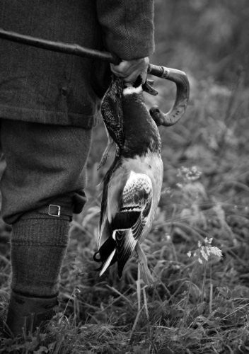 Canard et bécassine A5 Carte de vœux