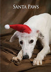 Lurcher Dog Christmas Card by Charles Sainsbury-Plaice. Large A5 size with envelope.