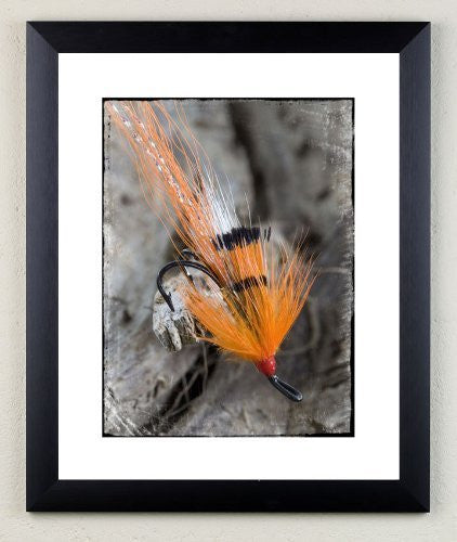 Fly fishing limited edition print. Ally Shrimp by Charles Sainsbury-Plaice
