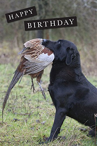 Labrador birthday card. Labrador retriever with pheasant by Charles Sainsbury-Plaice