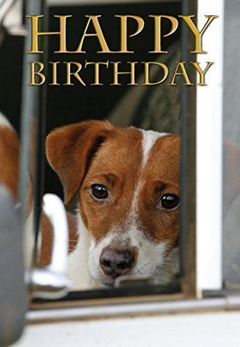 Jack Russell Birthday Card by Charles Sainsbury-Plaice