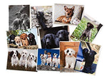 Bumper variety pack of 10 dog greeting cards with envelopes. Blank on the inside for all occasions. Labradors, Cocker Spaniels, Terriers etc.
