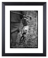 Shooting limited edition print. Duck & Snipe by Charles Sainsbury-Plaice