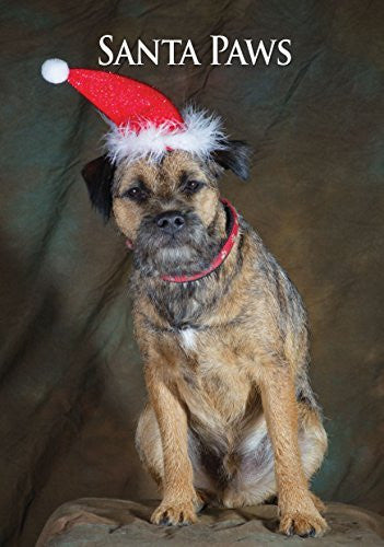Border terrier Christmas Card by Charles Sainsbury-Plaice.