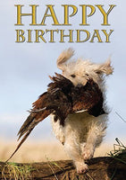 Labradoodle retrieving pheasant photographic birthday card for dog lovers. By...