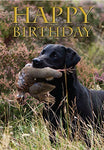 Labrador birthday card. Labrador retriever with partridge by Charles Sainsbury-Plaice