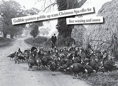 Vintage humour farming, christmas, greeting card. Norfolk Bronze Turkeys