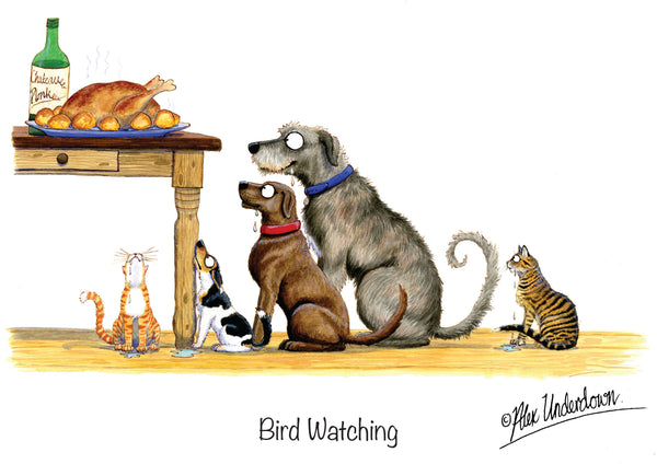 Dog and Cat greeting card "Bird Watching" by Alex Underdown.