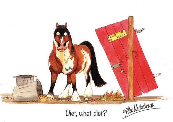 Horse greeting card "Diet, what diet" by Alex Underdown.
