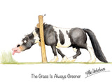 The grass is always greener horse cartoon greeting card by Alex Underdown