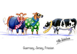 Farm Animal Greeting Card multipack. 12 assorted cartoons by Alex Underdown