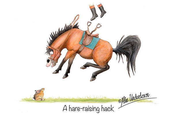 Horse greeting card "A hare-raising hack" by Alex Underdown.
