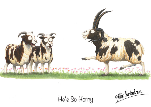 Sheep greeting card "He's so horny" by Alex Underdown.
