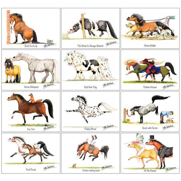 12 assorted horse cartoon greeting cards by Alex Underdown