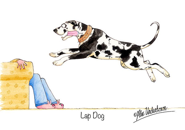 Dog greeting card "Lap Dog" by Alex Underdown.