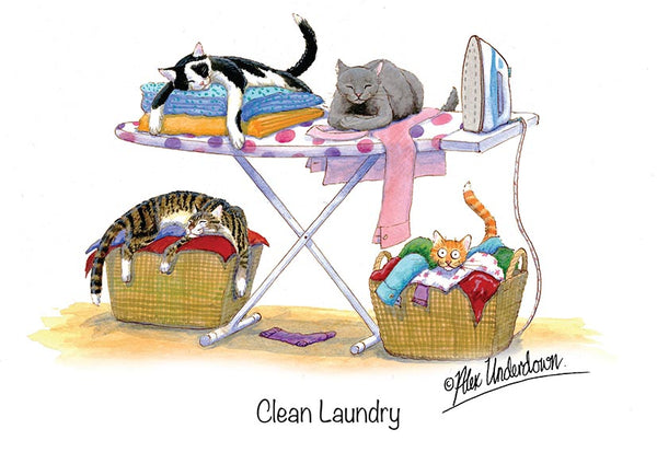 Cat greeting card "Clean Laundry" by Alex Underdown.